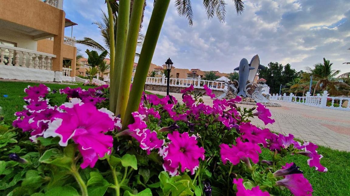 Dolphin Beach Resort Янбу Екстер'єр фото
